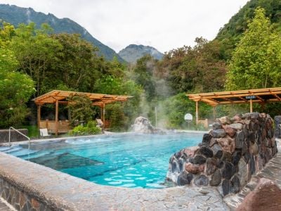 Ecuador Nature & Wildlife: An 8-Day Adventure through the Andes and Upper Amazon