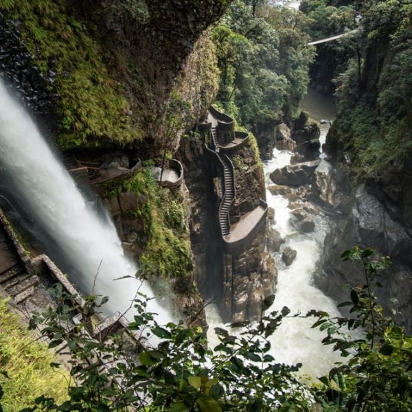 Ecuador Nature & Wildlife: An 8-Day Adventure through the Andes and Upper Amazon