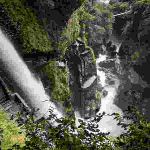Ecuador Nature & Wildlife: An 8-Day Adventure through the Andes and Upper Amazon