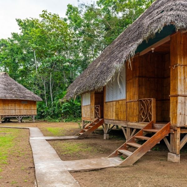 Ecuador Nature & Wildlife: An 8-Day Adventure through the Andes and Upper Amazon