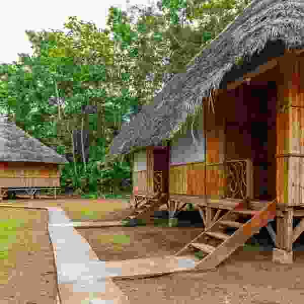 Ecuador Nature & Wildlife: An 8-Day Adventure through the Andes and Upper Amazon