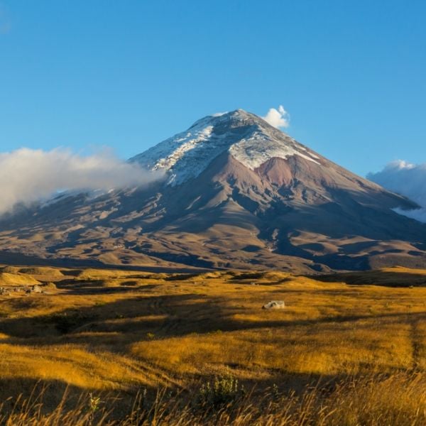 Ecuador Nature & Wildlife: An 8-Day Adventure through the Andes and Upper Amazon