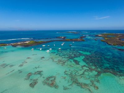 Ecuador Uncovered: A 19-Day Amazon, Andes & Galapagos Adventure