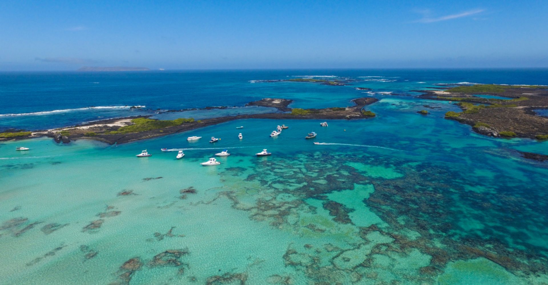 Ecuador Uncovered: A 19-Day Amazon, Andes & Galapagos Adventure