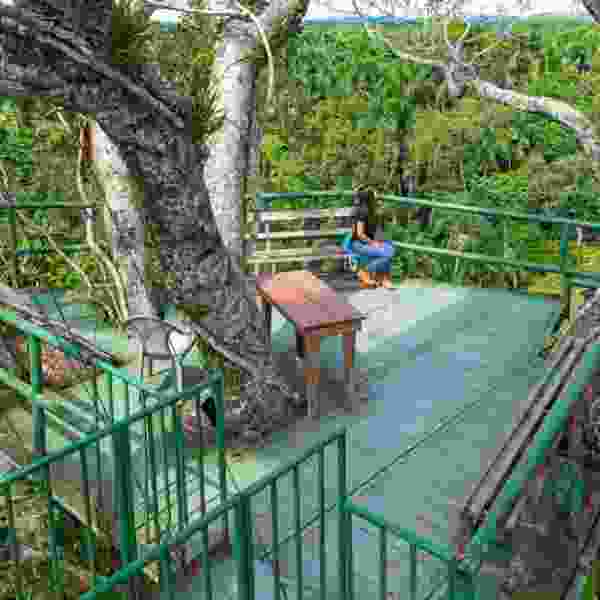 Ecuador Uncovered: A 19-Day Amazon, Andes & Galapagos Adventure