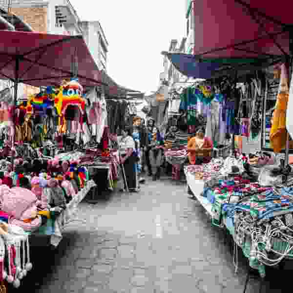Ecuador Uncovered: A 19-Day Amazon, Andes & Galapagos Adventure
