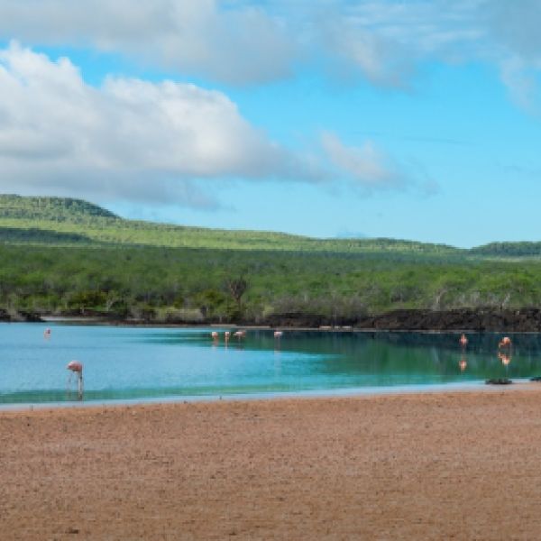 Ecuador Uncovered: A 19-Day Amazon, Andes & Galapagos Adventure