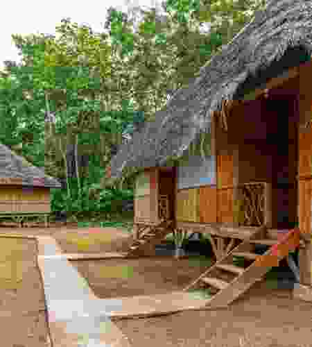 Ecuador Through Local Eyes: A 13-Day Adventure full of Culture, Volcanoes & Amazon Journey