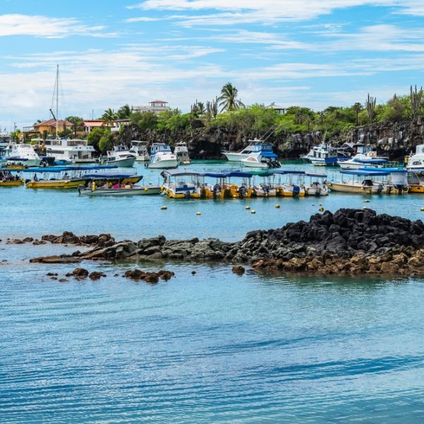 Galapagos in Style: Wildlife, Snorkeling & Island Life in 5-Days