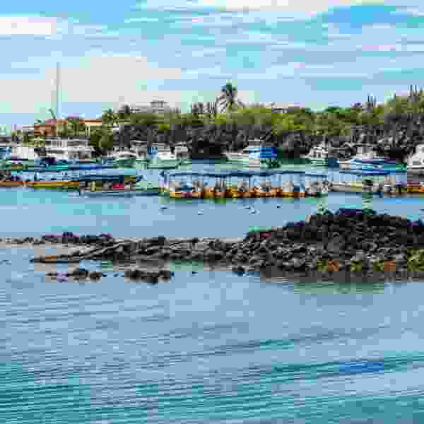 Galapagos in Style: Wildlife, Snorkeling & Island Life in 5-Days