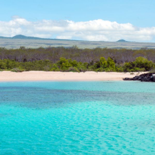 Galapagos in Style: Wildlife, Snorkeling & Island Life in 5-Days