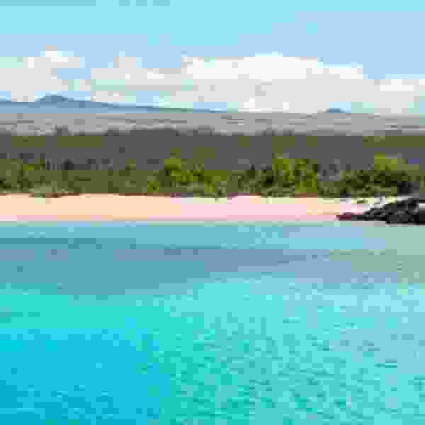 Galapagos in Style: Wildlife, Snorkeling & Island Life in 5-Days