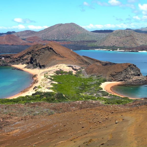 Galapagos in Style: Wildlife, Snorkeling & Island Life in 5-Days