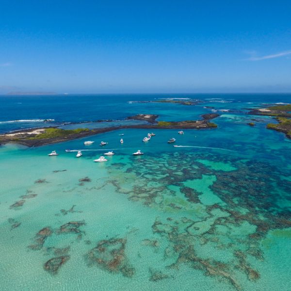 Discover Ecuador’s Mainlands, Amazon & Galápagos Islands at Your Family’s Own Pace