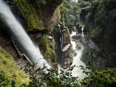 Ecuador in Motion: An 8-Day Tailor-Made Andes, Cloud Forest & Amazon Adventure