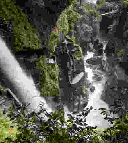 Ecuador in Motion: An 8-Day Tailor-Made Andes, Cloud Forest & Amazon Adventure