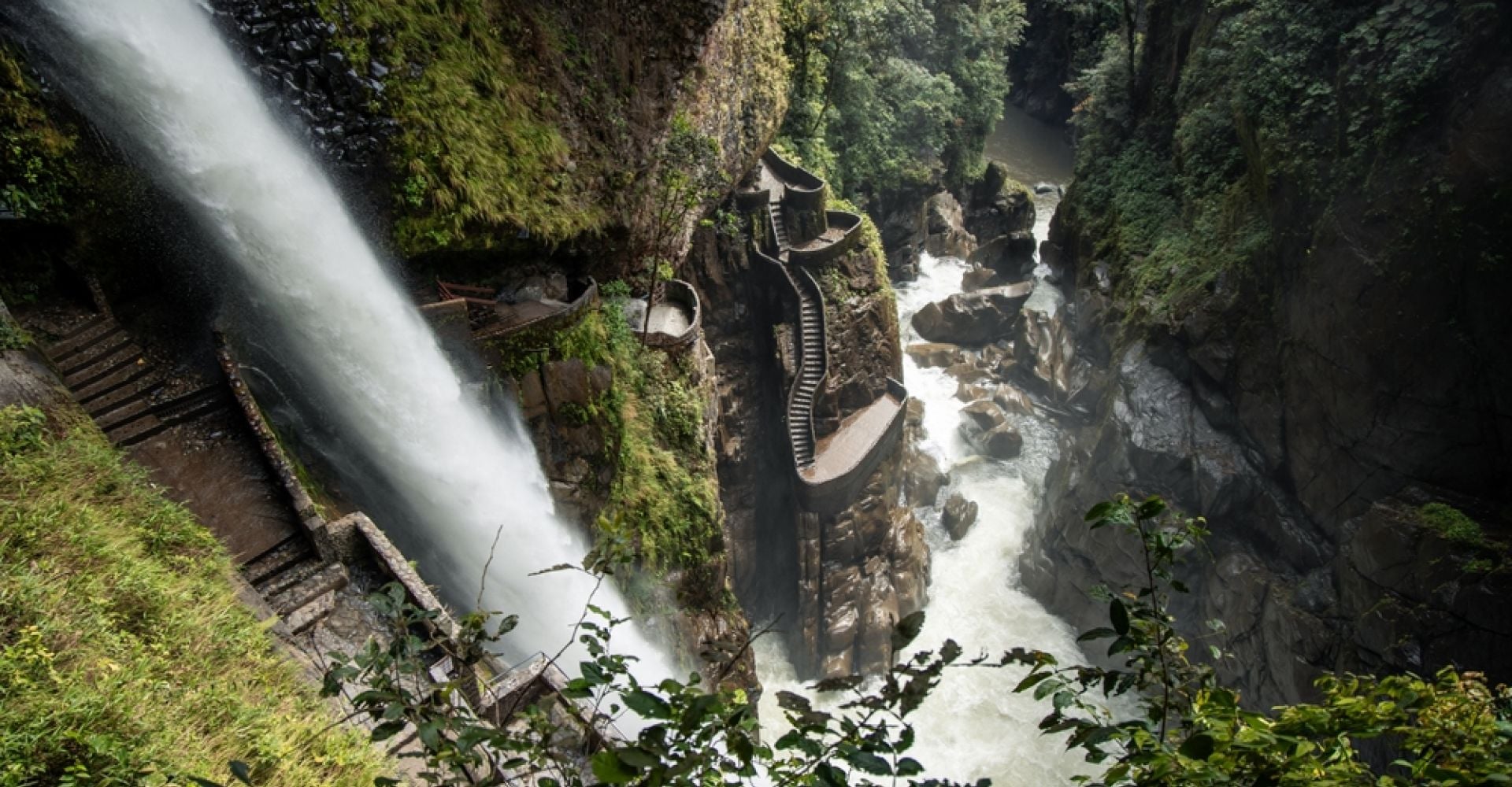 Ecuador in Motion: An 8-Day Tailor-Made Andes, Cloud Forest & Amazon Adventure
