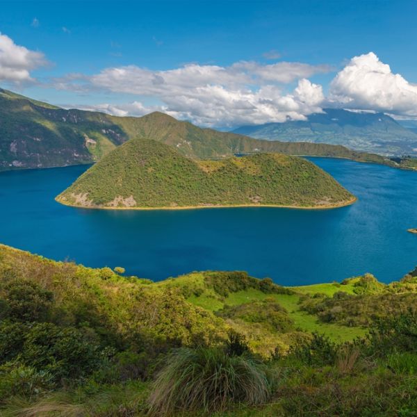 Ecuador in Motion: An 8-Day Tailor-Made Andes, Cloud Forest & Amazon Adventure