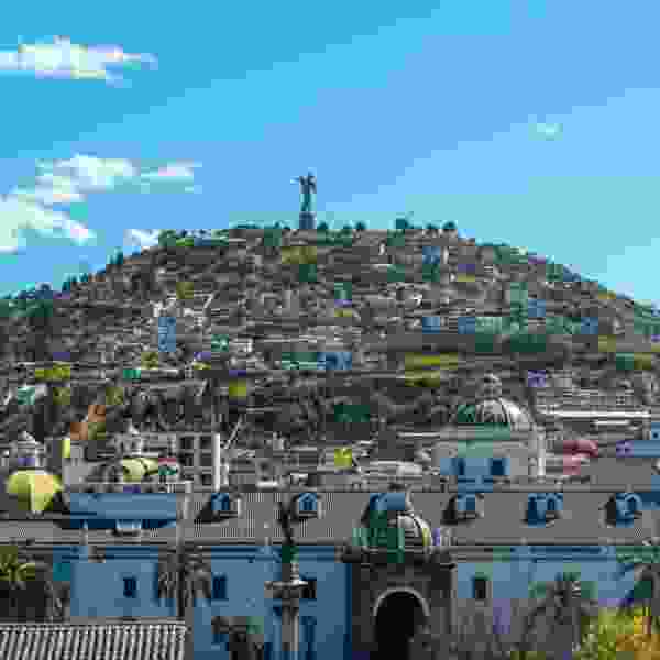 Ecuador in Motion: An 8-Day Tailor-Made Andes, Cloud Forest & Amazon Adventure