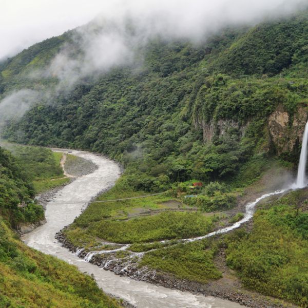 Ecuador in Motion: An 8-Day Tailor-Made Andes, Cloud Forest & Amazon Adventure