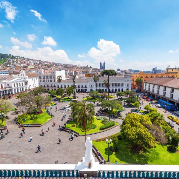 Ecuador in Motion: An 8-Day Tailor-Made Andes, Cloud Forest & Amazon Adventure