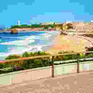 France Nature & Wildlife