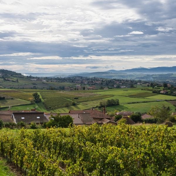 From Lyon to Venice: A 15-Day Romantic Road Trip through Wine, Alps & Italian Icons