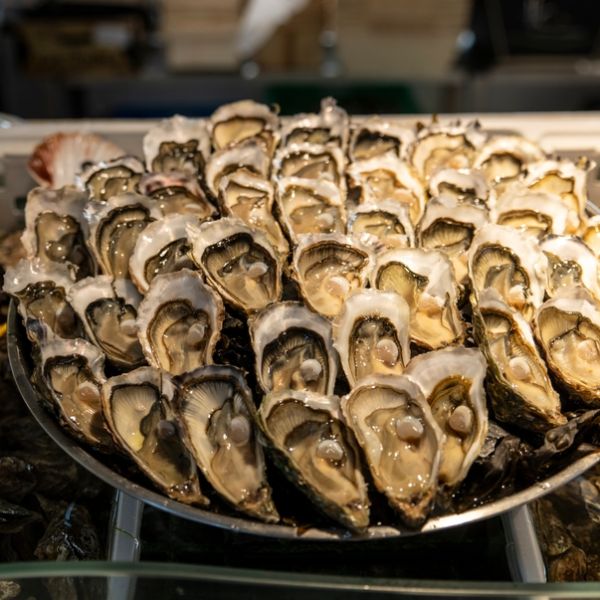Bordeaux to Bilbao: A 13-Day Culinary & Wine Journey Through France and Spain