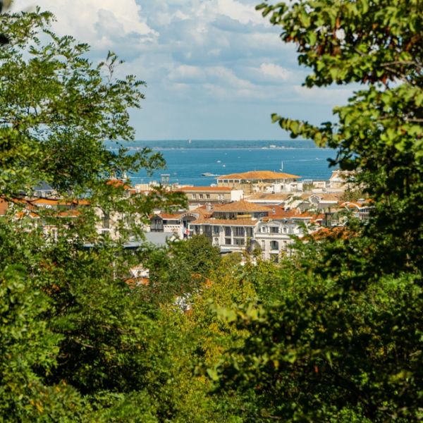 Bordeaux to Bilbao: A 13-Day Culinary & Wine Journey Through France and Spain