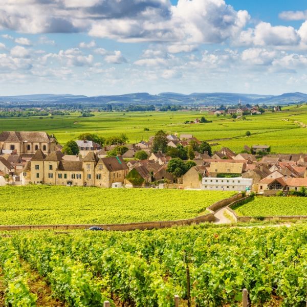 Savor in 12-Days Paris, Bordeaux, Burgundy, Lyon & Provence in Style