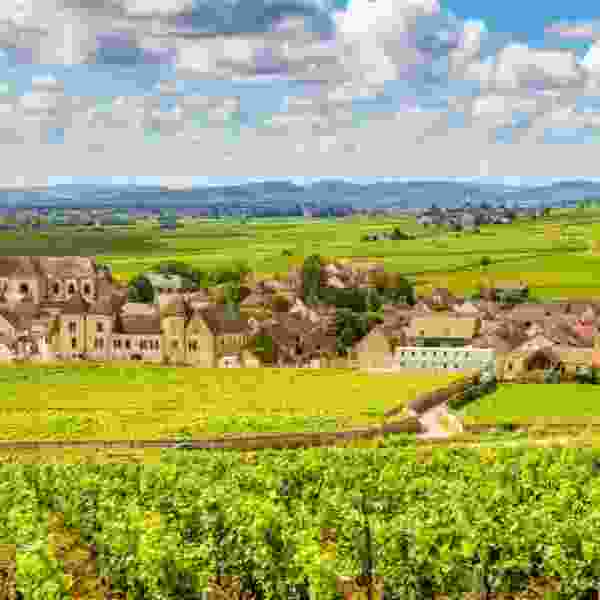 Savor in 12-Days Paris, Bordeaux, Burgundy, Lyon & Provence in Style