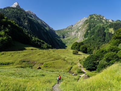 Pyrenees Wild Trails: An 8-Day Hiking & Wildlife Escape in Southern France