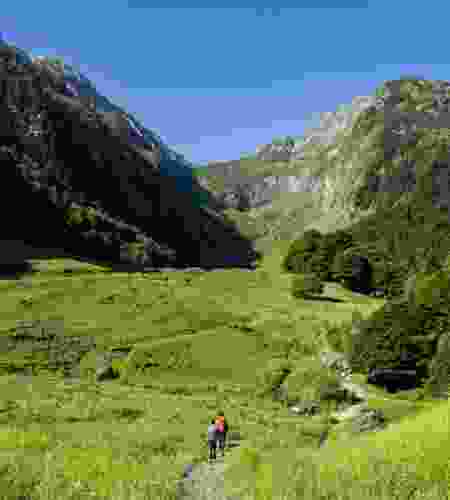 Pyrenees Wild Trails: An 8-Day Hiking & Wildlife Escape in Southern France