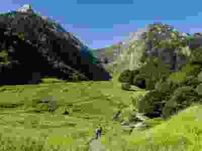 Pyrenees Wild Trails: An 8-Day Hiking & Wildlife Escape in Southern France