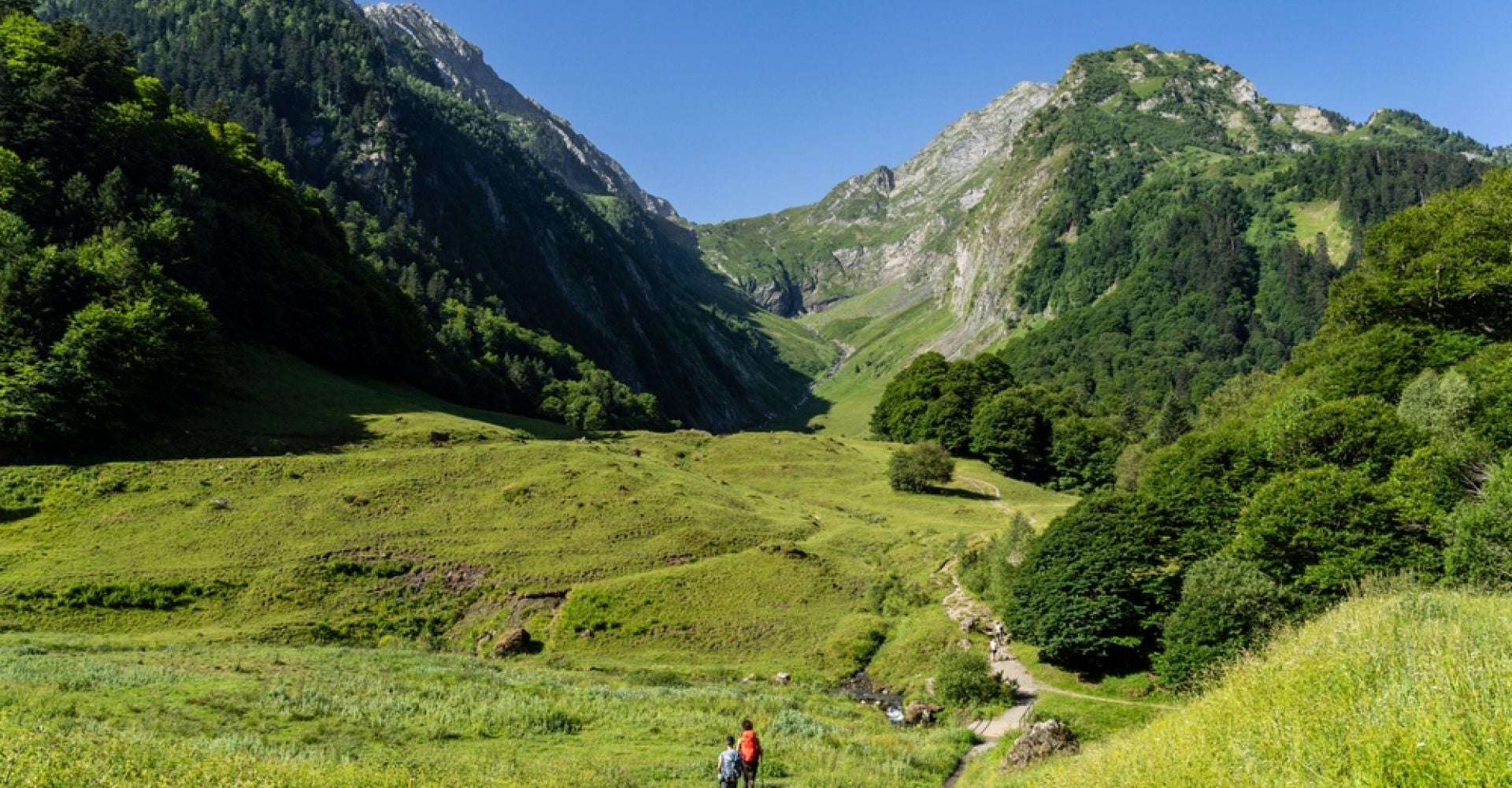 Pyrenees Wild Trails: An 8-Day Hiking & Wildlife Escape in Southern France
