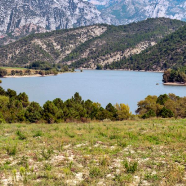 Pyrenees Wild Trails: An 8-Day Hiking & Wildlife Escape in Southern France