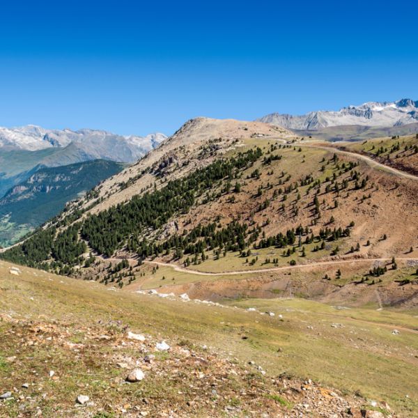 Pyrenees Wild Trails: An 8-Day Hiking & Wildlife Escape in Southern France