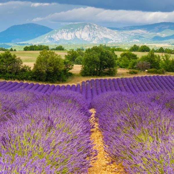 Unforgettable France: An 11-Day Perfect Vacation for Families with City Elegance