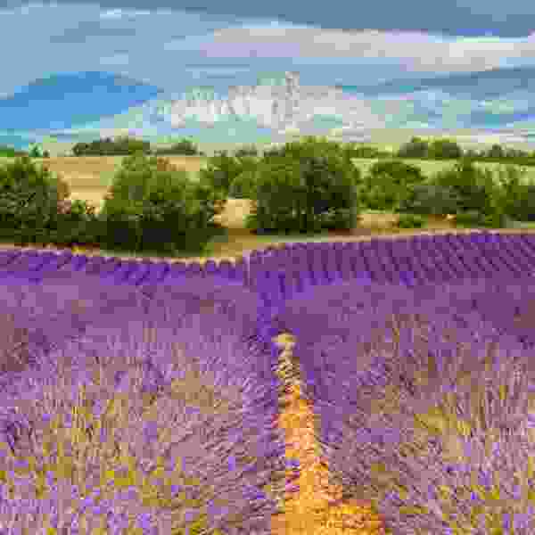 Unforgettable France: An 11-Day Perfect Vacation for Families with City Elegance