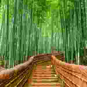 Kyoto