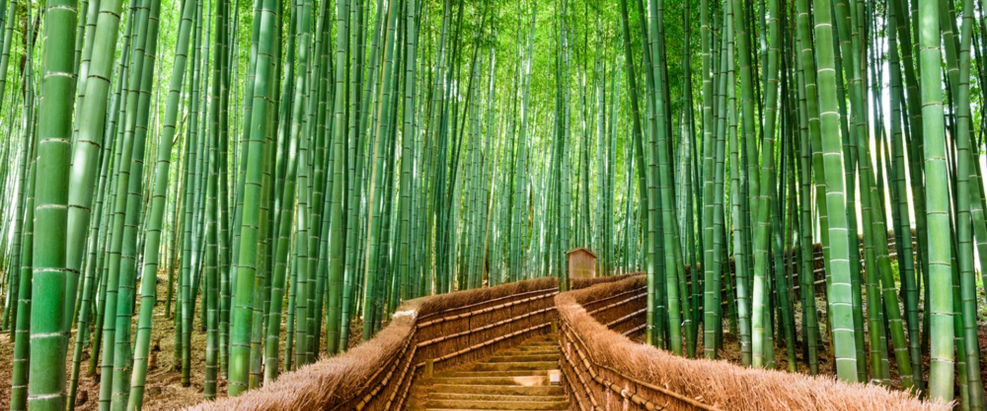 Kyoto