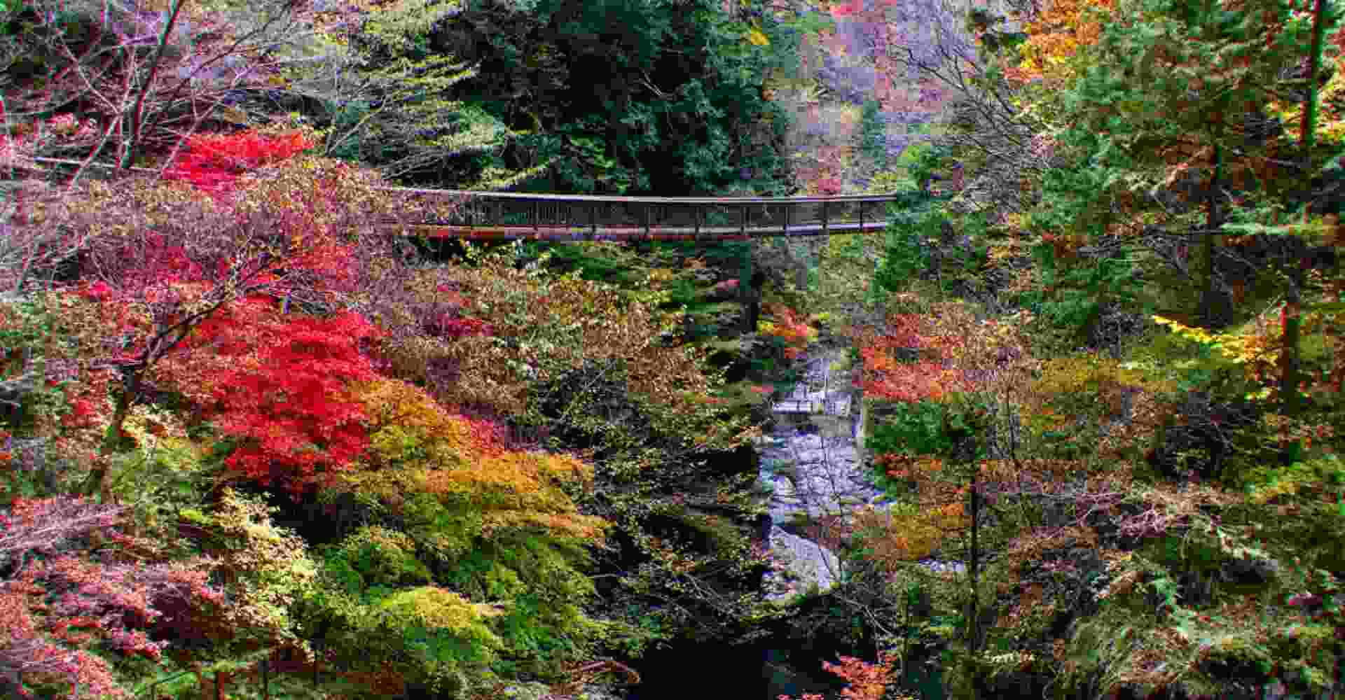 Nara