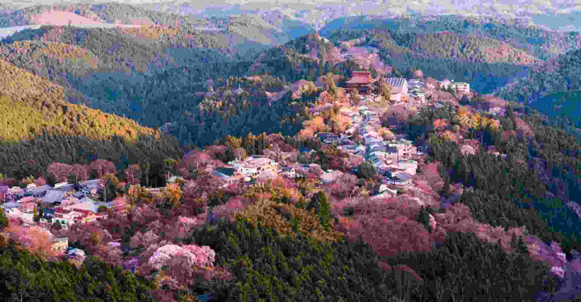 Nara