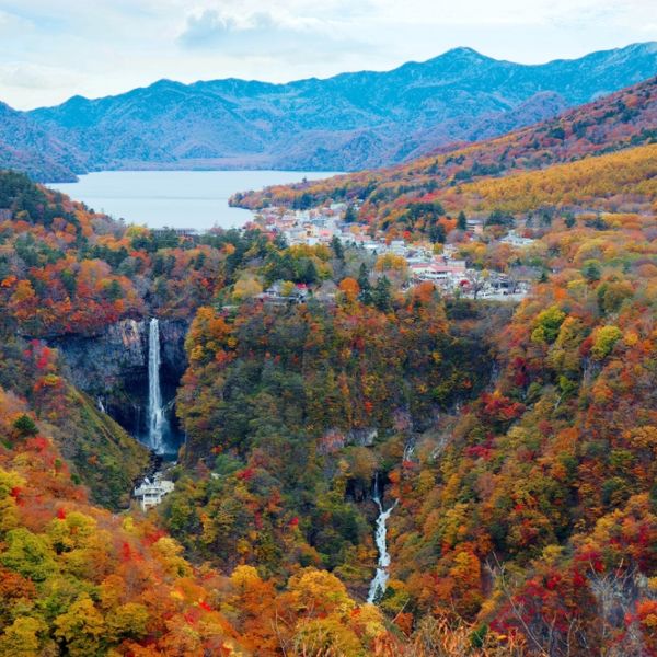 Japan in Spring: Cherry Blossoms, Adventure & Timeless Beauty in 10 Days