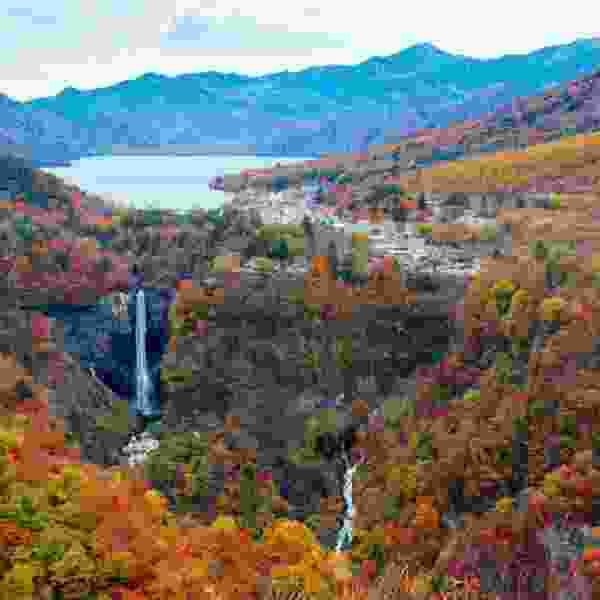 Japan in Spring: Cherry Blossoms, Adventure & Timeless Beauty in 10 Days