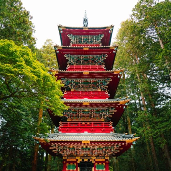Japan in Spring: Cherry Blossoms, Adventure & Timeless Beauty in 10 Days