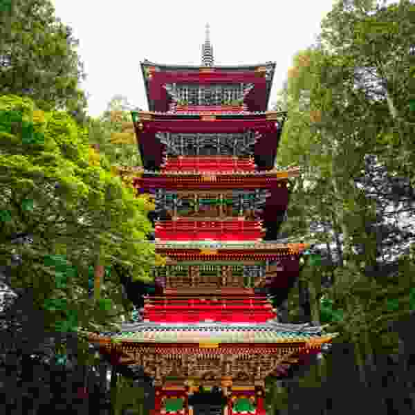 Japan in Spring: Cherry Blossoms, Adventure & Timeless Beauty in 10 Days