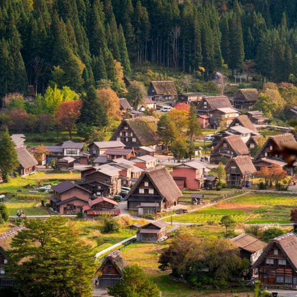 Japan Through Time: A 15-Day Cultural Adventure from Tokyo to Kyoto & the Japanese Alps
