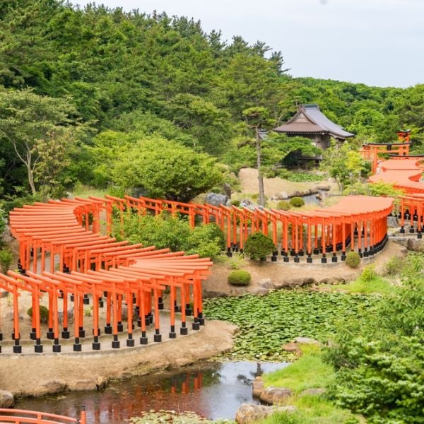 Japan Through Time: A 15-Day Cultural Adventure from Tokyo to Kyoto & the Japanese Alps