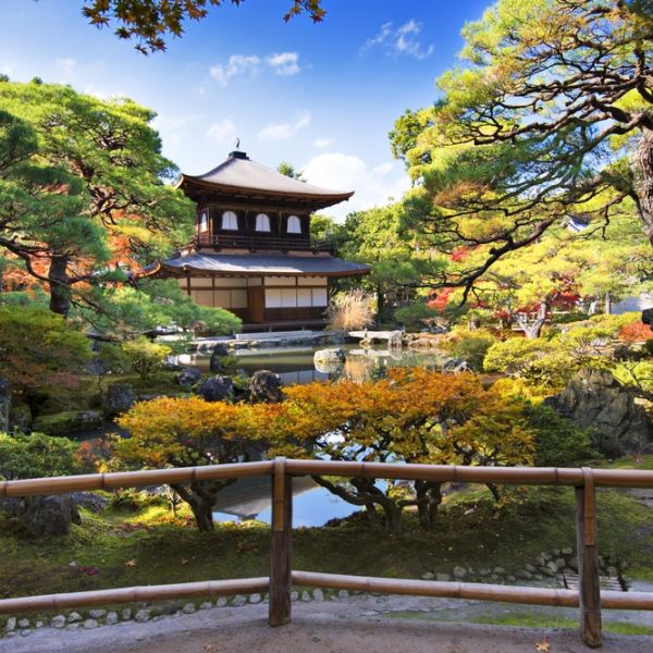 Japan Through Time: A 15-Day Cultural Adventure from Tokyo to Kyoto & the Japanese Alps